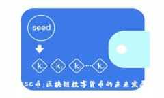 iaanRSC币：区块链数字货币